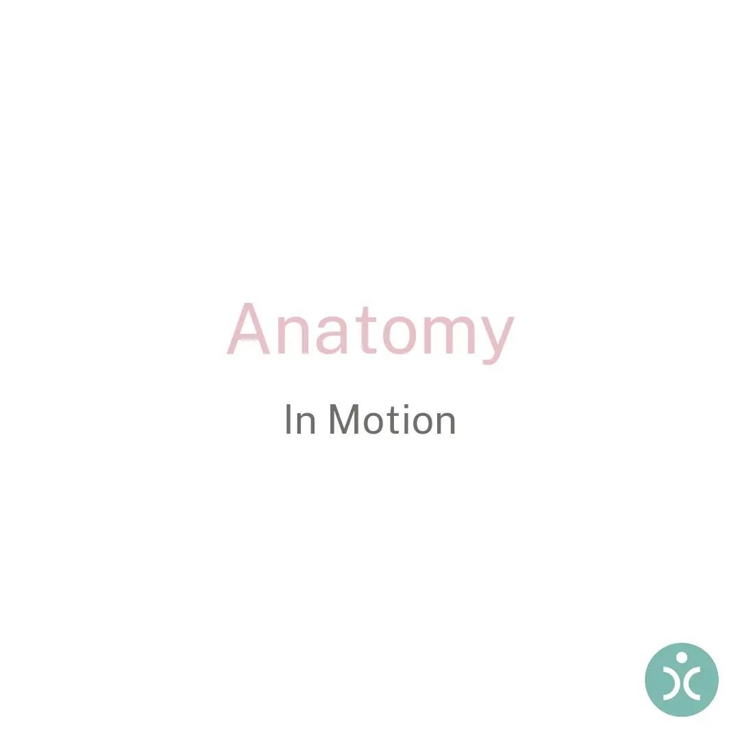 ⬇️ What is Anatomy In Motion...? 💫

Anatomy in Motion (AiM) created by @garyward_aim is a method unlike any other. It is based simply on what the joints of the human body do &amp; when they do it during the human gait (walking) cycle.

It takes into