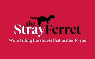 Stray Ferret to launch Business Roundup