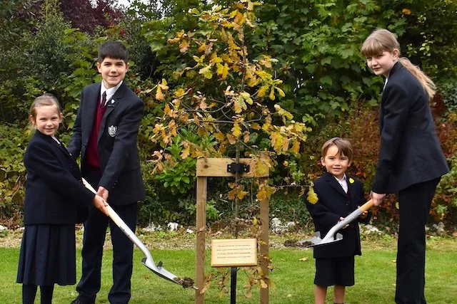 Duchy College pupils planting the ceremonial oak tree.JPG