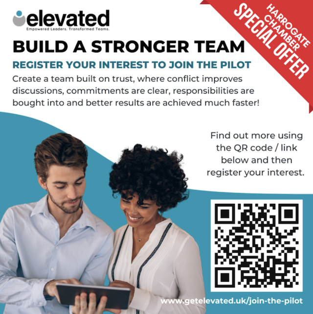 Elevated Ltd Invitation: 5 Pilot Companies Needed For A New Team Development Programme