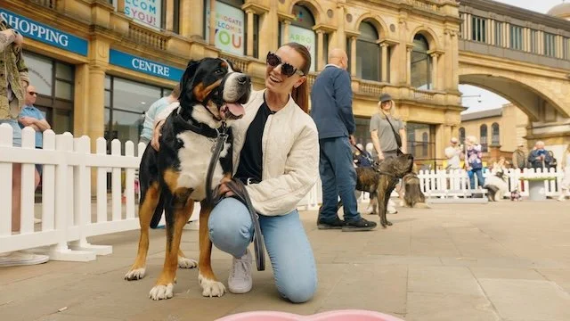 ‘Cutest Puppy’ And ‘Best Trick’ Among The Categories Announced For Harrogate Dog Show 2026