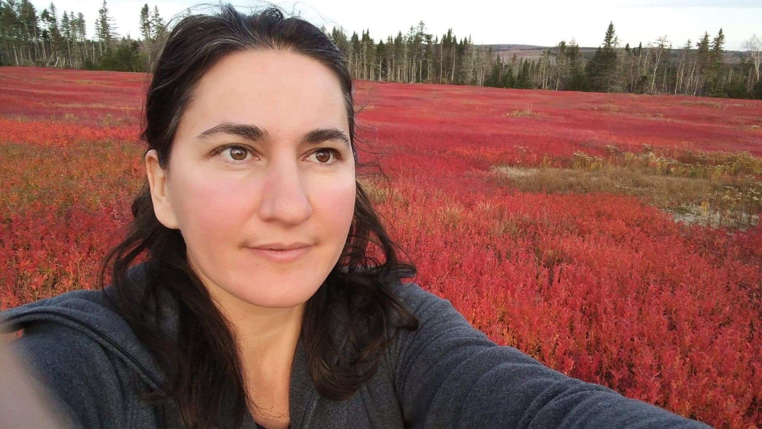 Bio — Amber Young