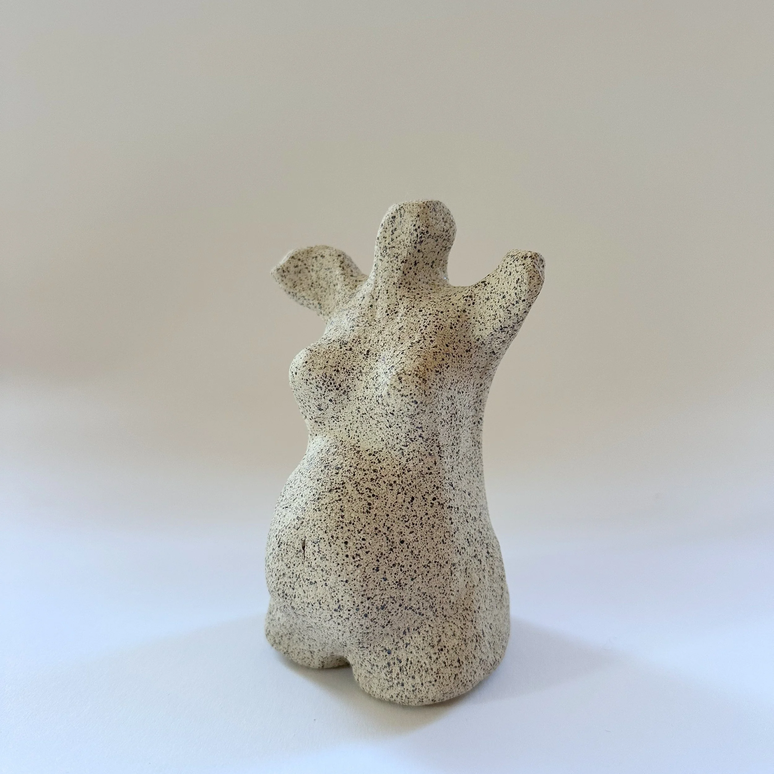 Woman Pregnant Torso