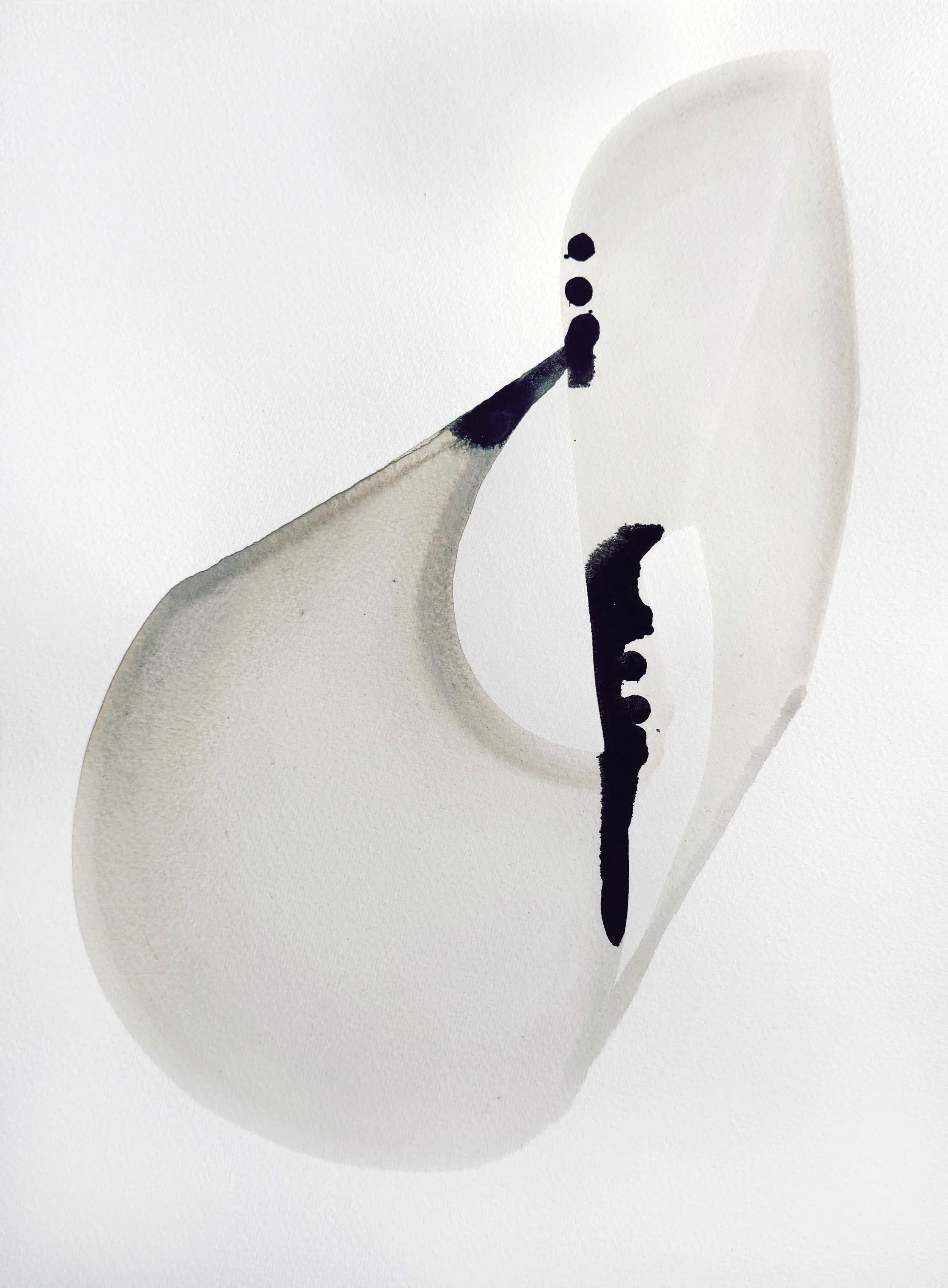 SEEDS / IDEAS
16 x 12"
Laura Naples Studio