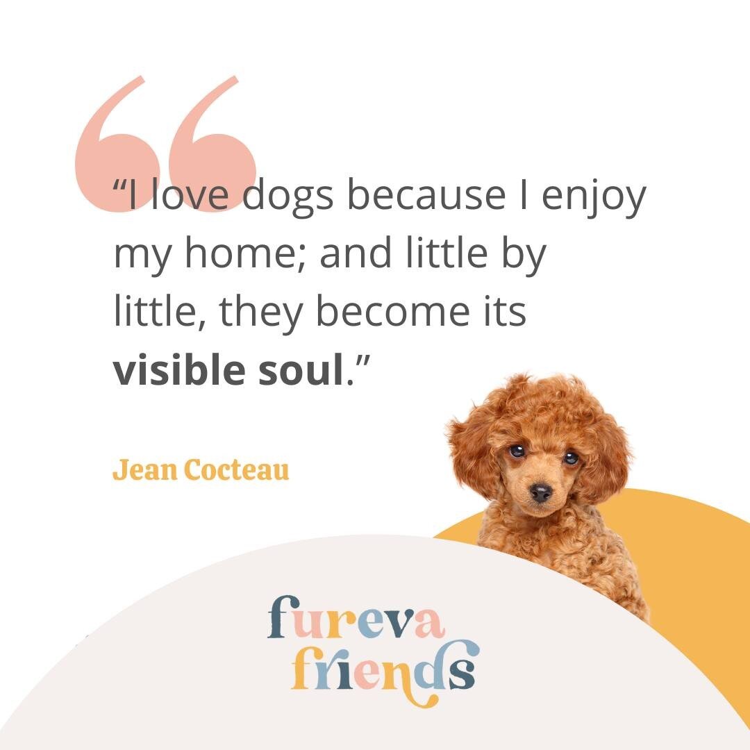 We love pets because they remind us of all the things we love about our homes. 💛

Whether it's a dog that loves to cuddle on the couch or a cat that loves to climb onto your lap, pets are always there for you. They're your friends. They're part of y