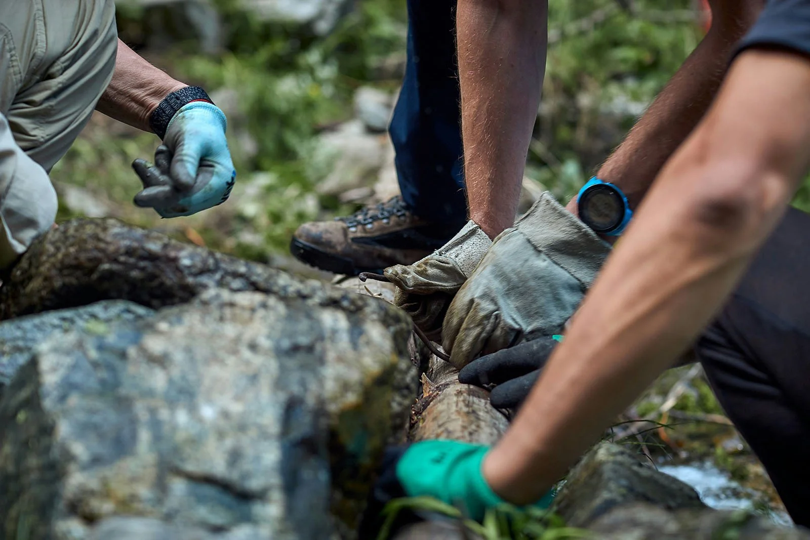 Environmental volunteers in the woods