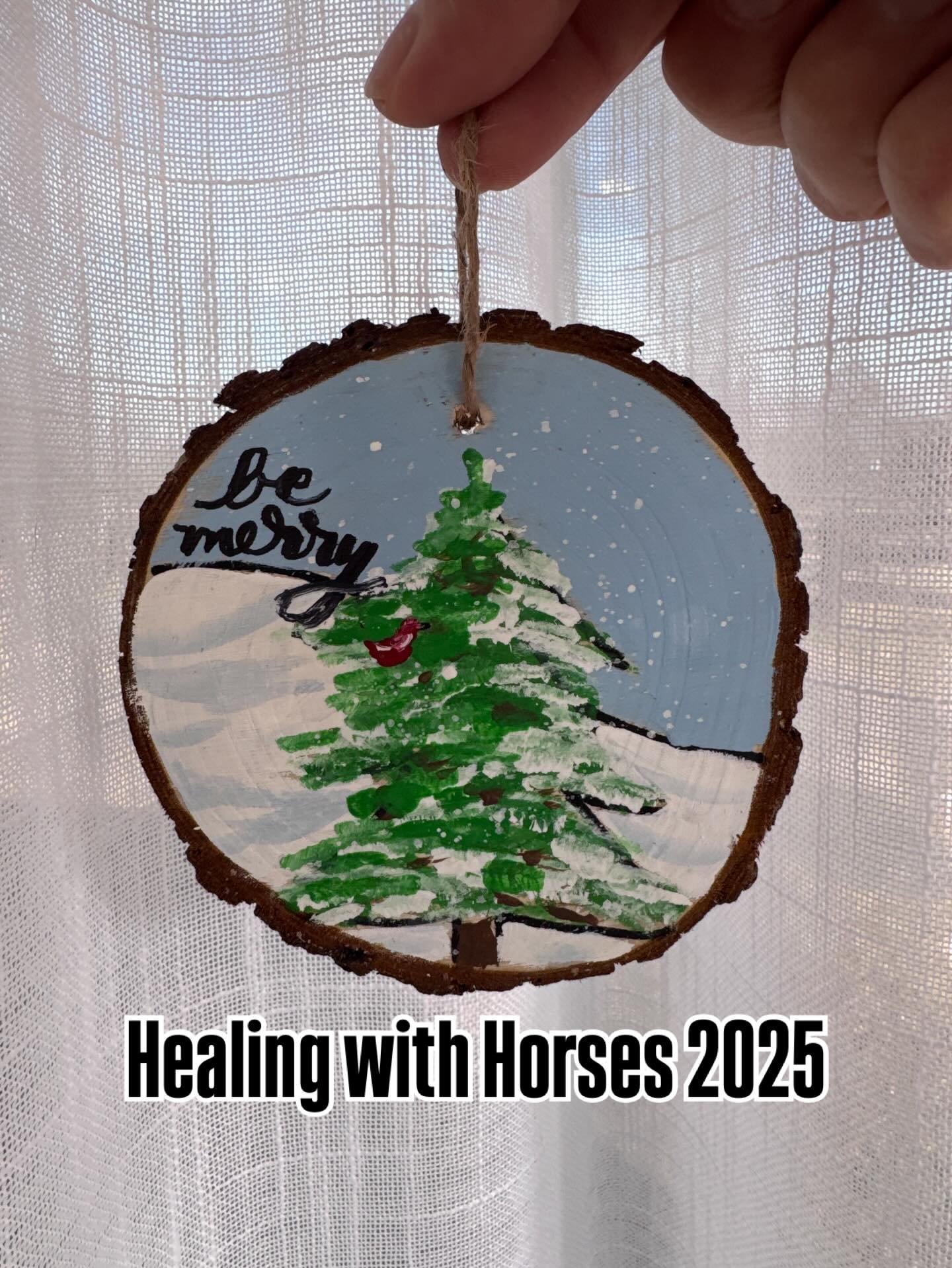Healing with Horses is more than an event. It is a gentle space of joy, comfort, and connection for those in our community who carry extra weight during the holiday season. Some arrive walking through fresh grief or deep loss. Others are navigating n