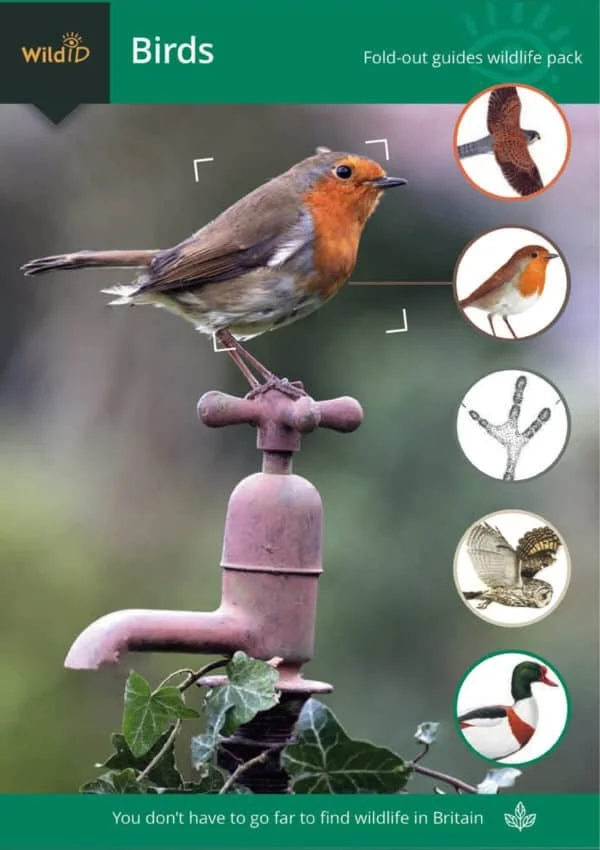 birdsWildlife-pack-WP05-600x850.jpg