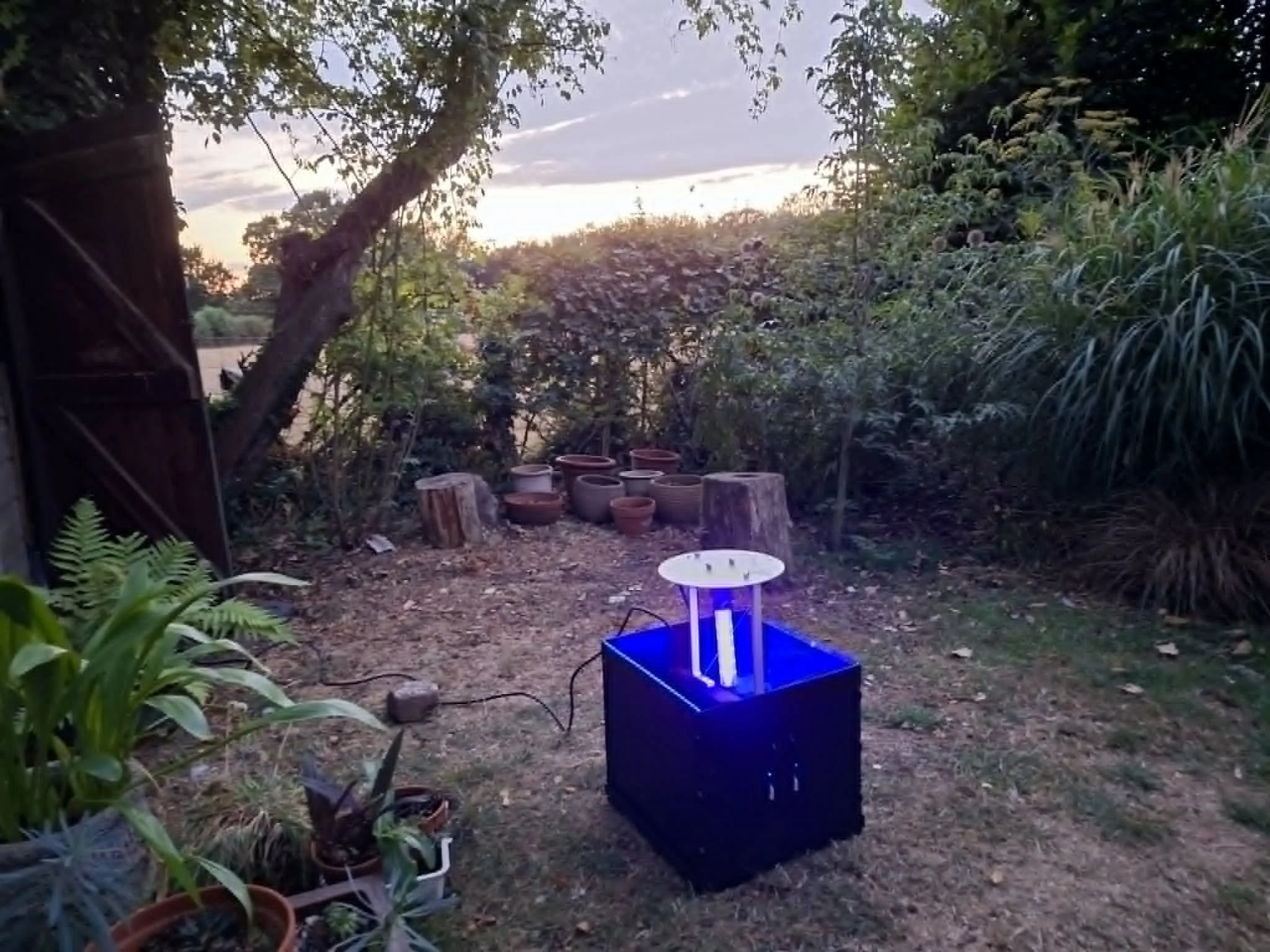 led skinner moth trap ALS.jpeg