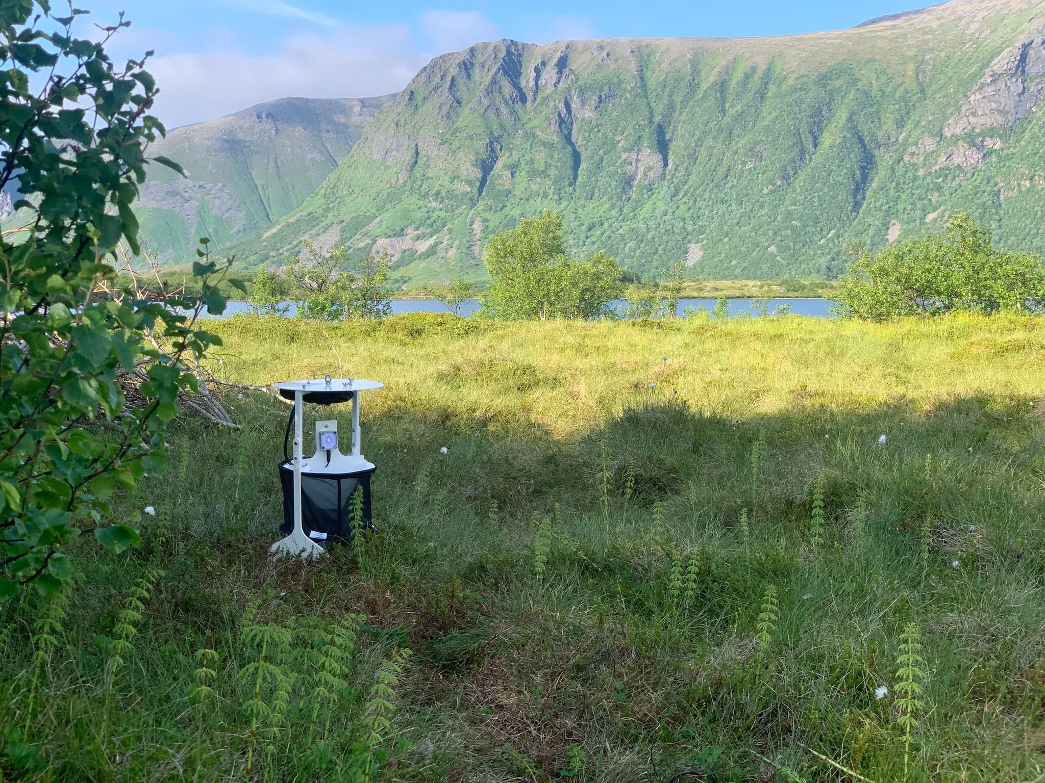 A grassy field with plants and bushes, a moth trap, a body of water, and green mountains in the background under a partly cloudy sky.
