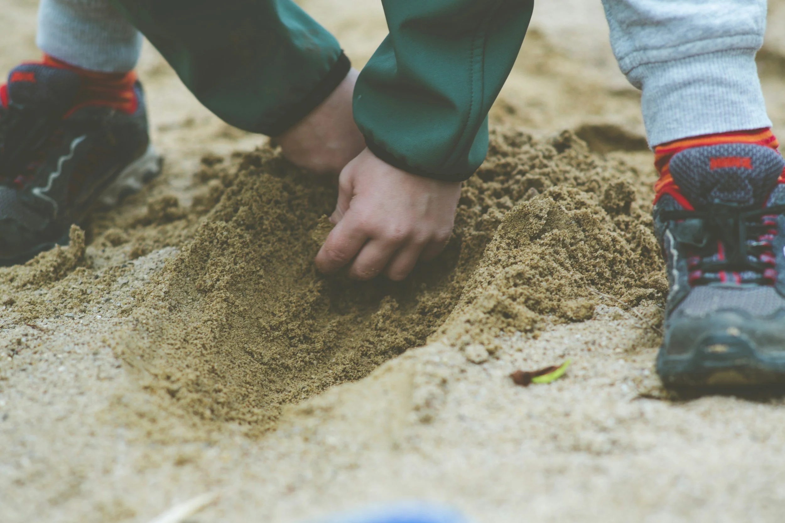 Stewardship