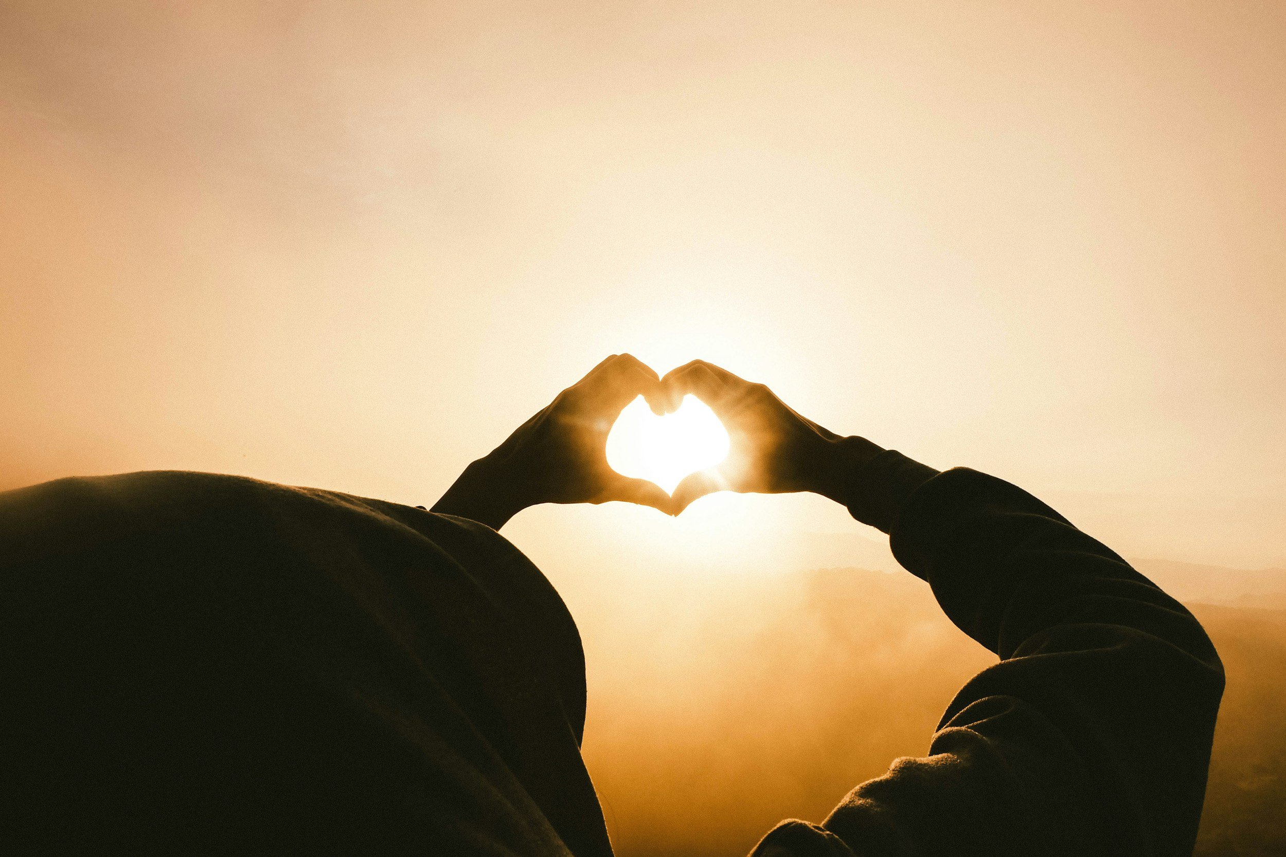 Healing the Heart with Psychedelics and Emotional Integration