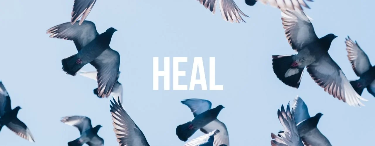 Multiple pigeons flying in the sky with the word 'HEAL' in the center.