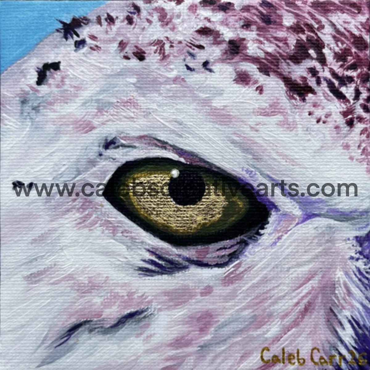 Eye42_websafe2.jpg