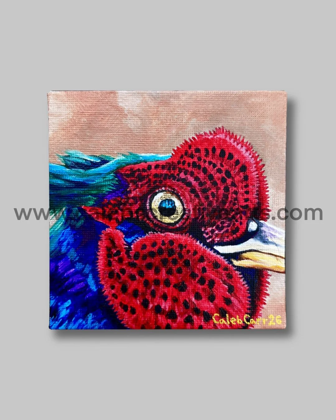 Gilded Eye 56