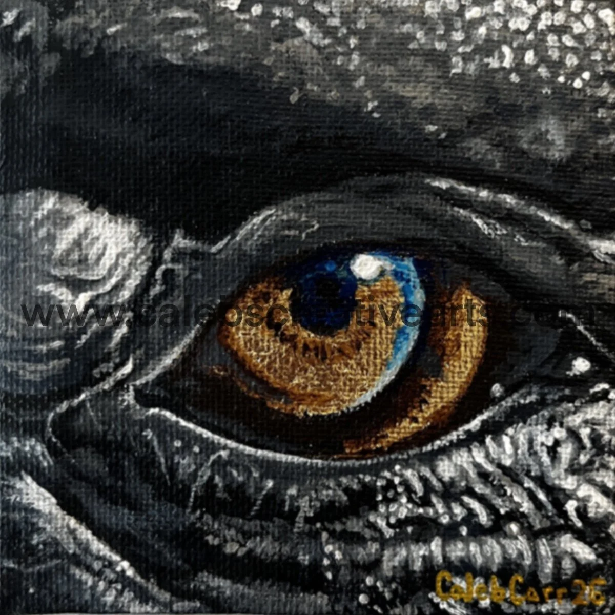 Eye7_websafe2.jpg
