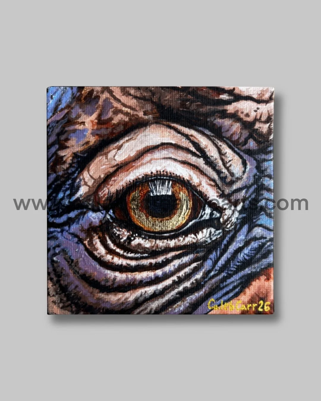 Eye51_websafe.jpg