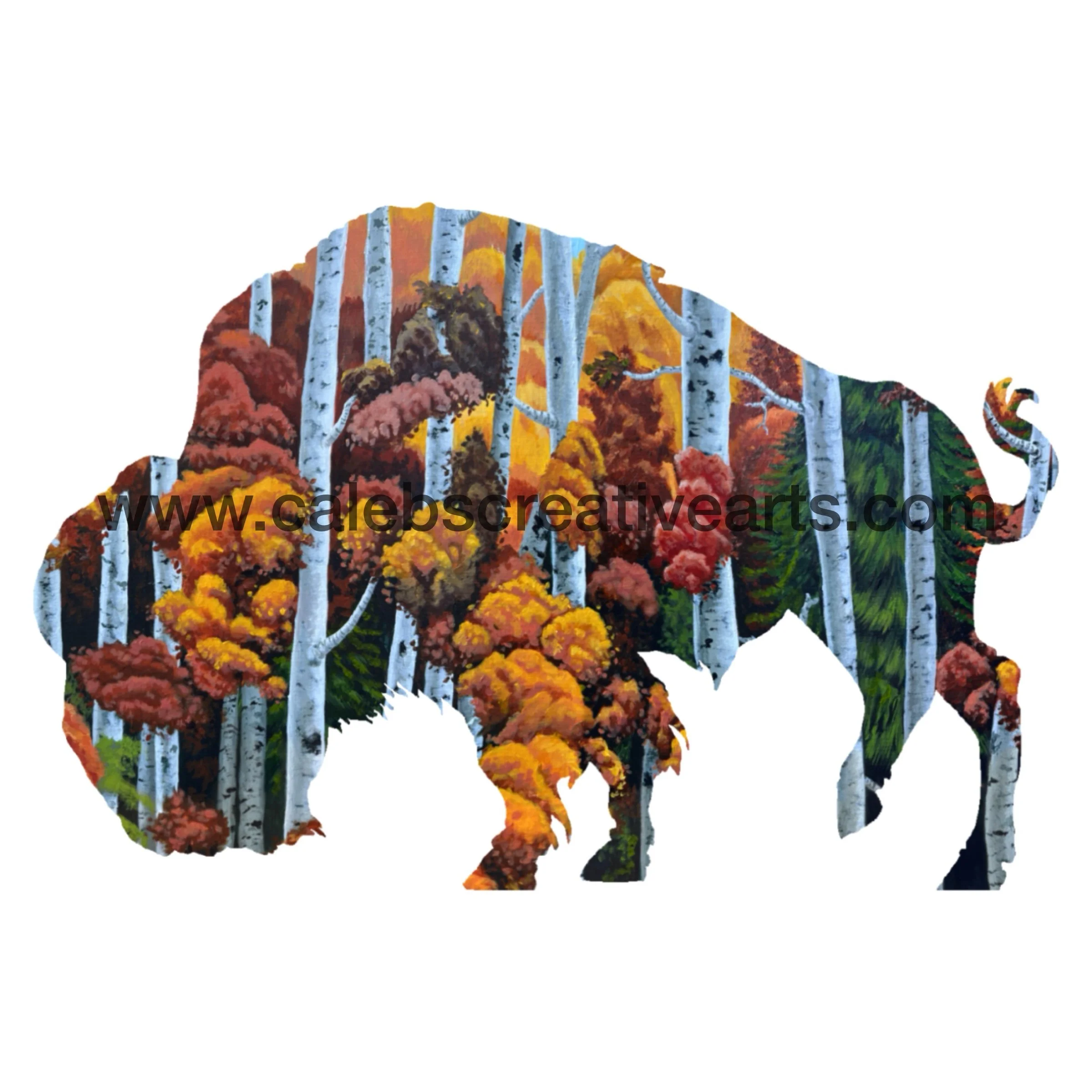 D_Bison4.jpg
