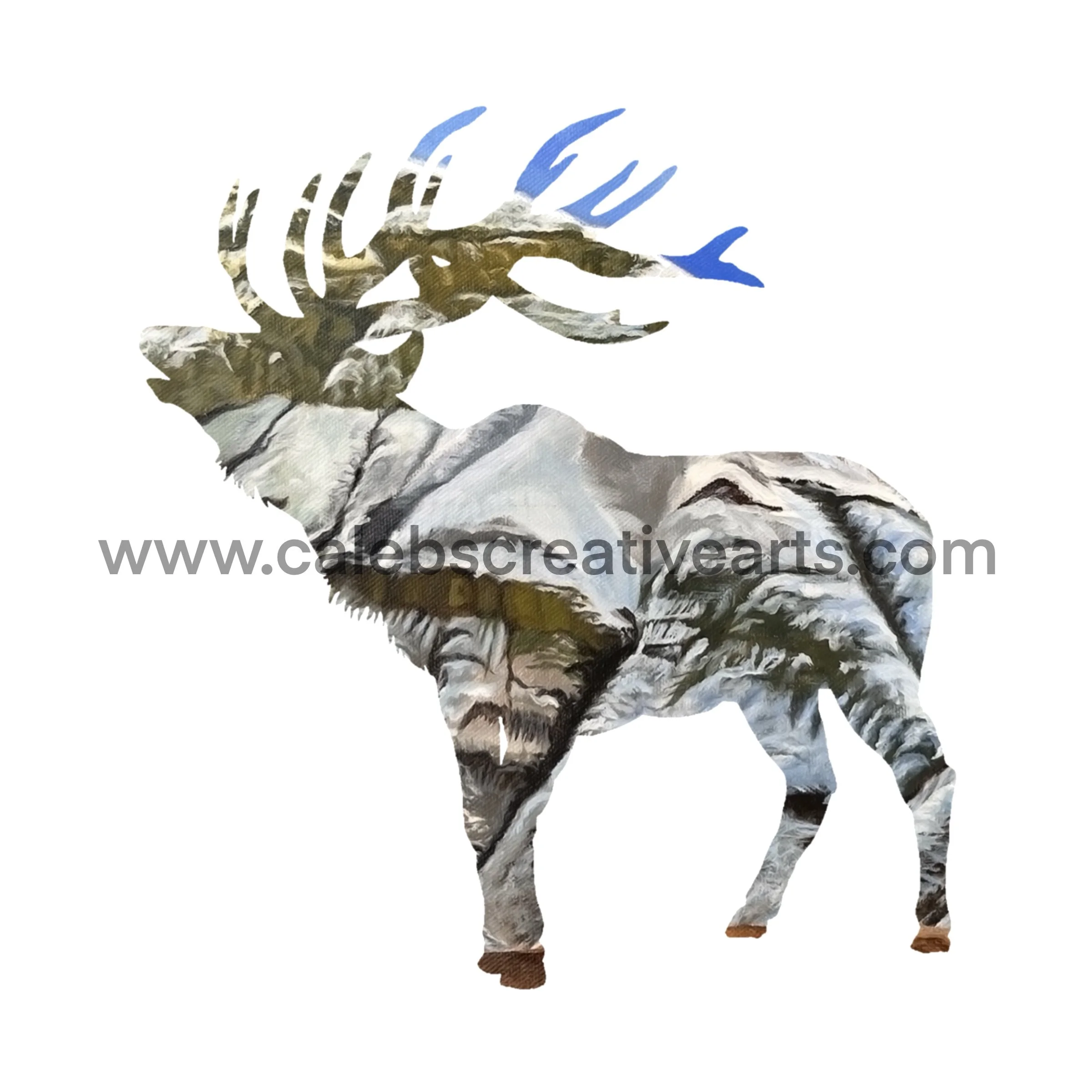 OWTH_elk3.jpg