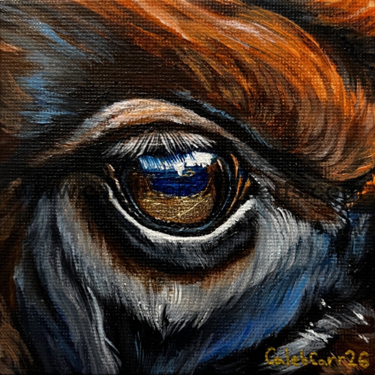 Eye37_websafe2.jpg