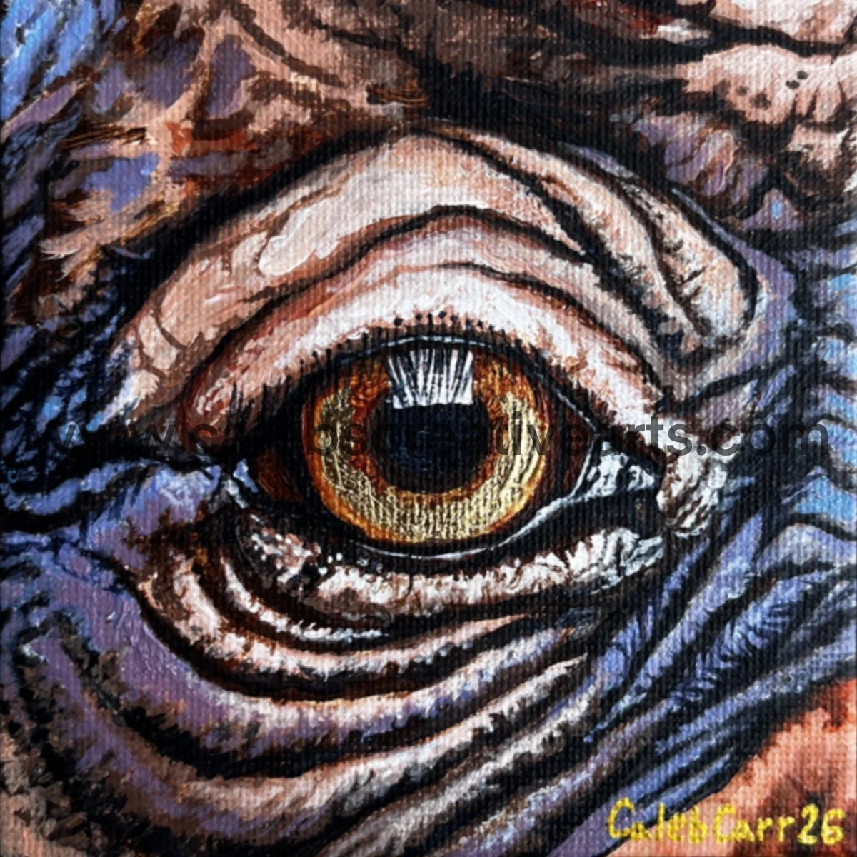 Eye51_websafe2.jpg
