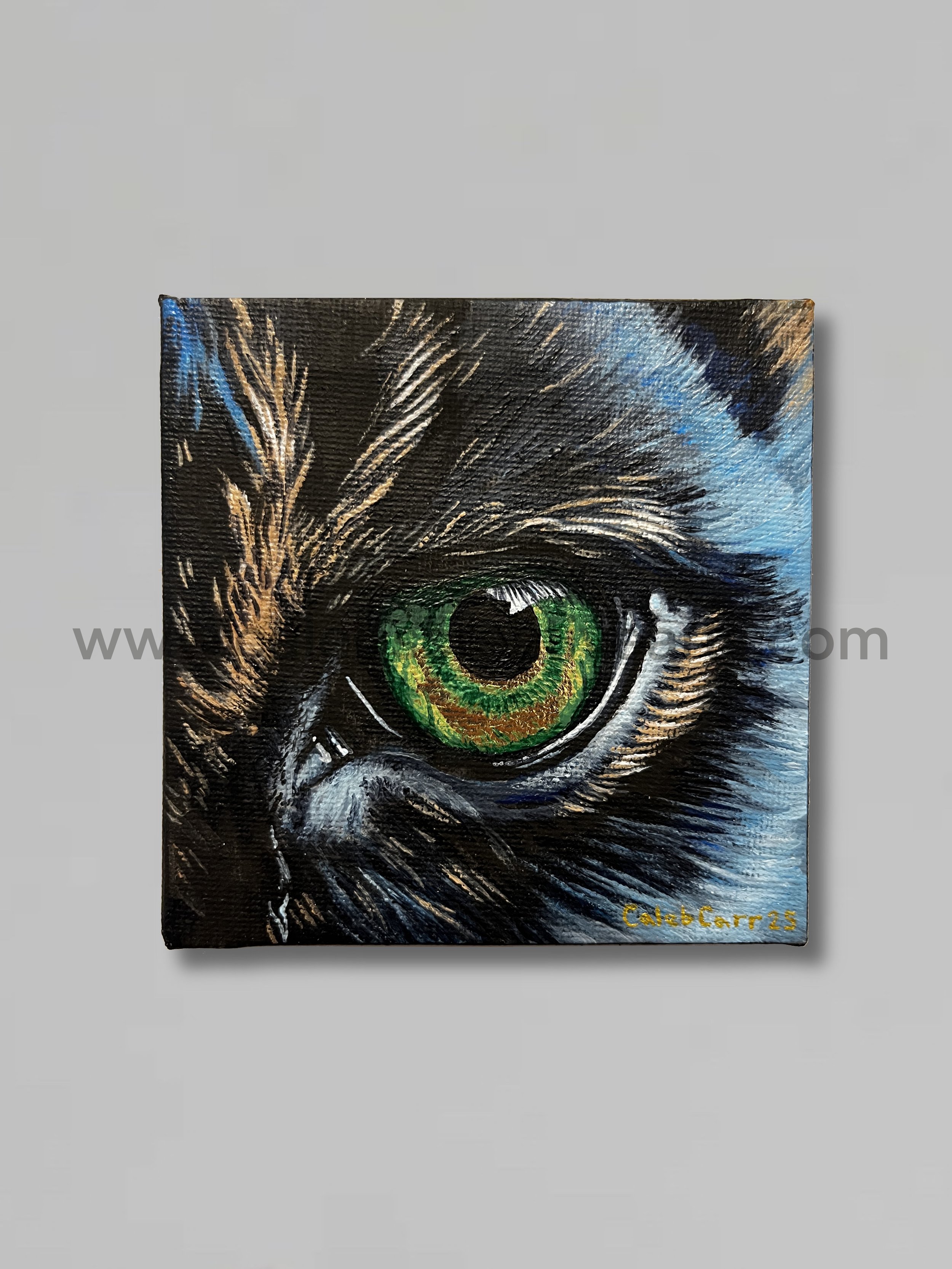 Eye3_websafe.jpg