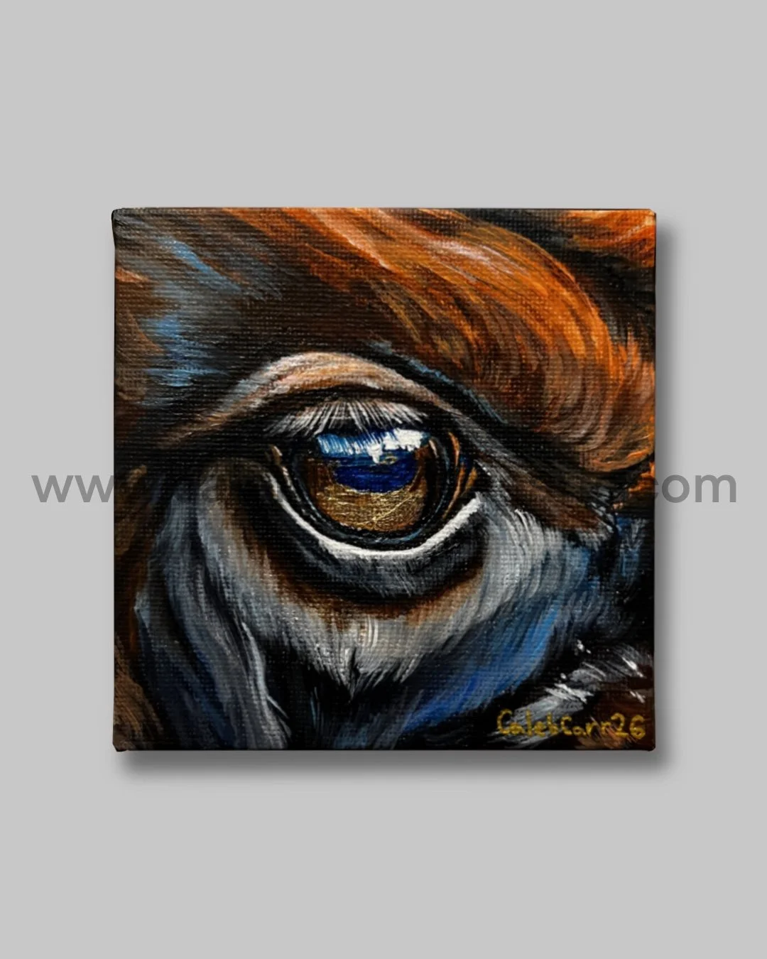 Eye37_websafe.jpg