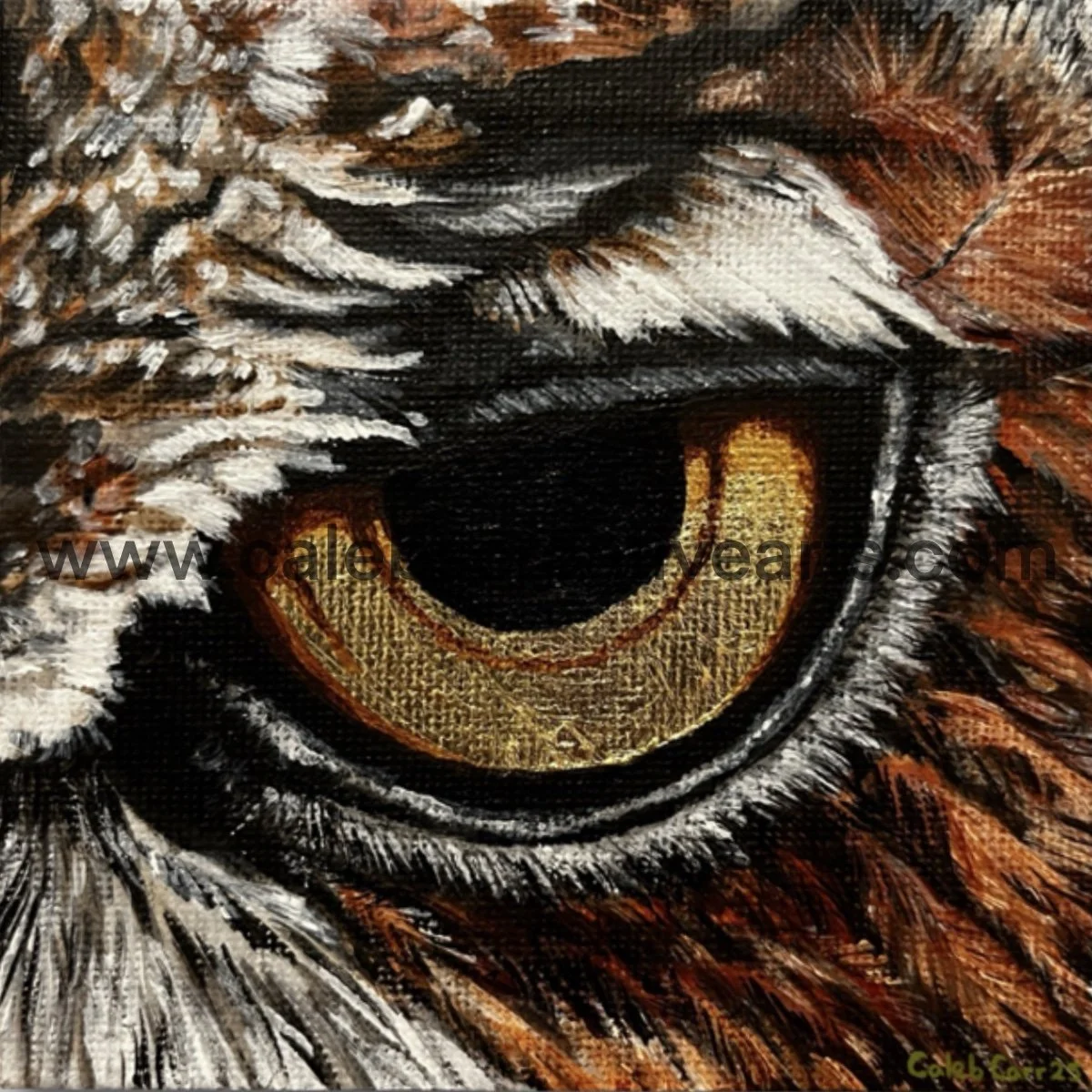Eye2_websafe2.jpg