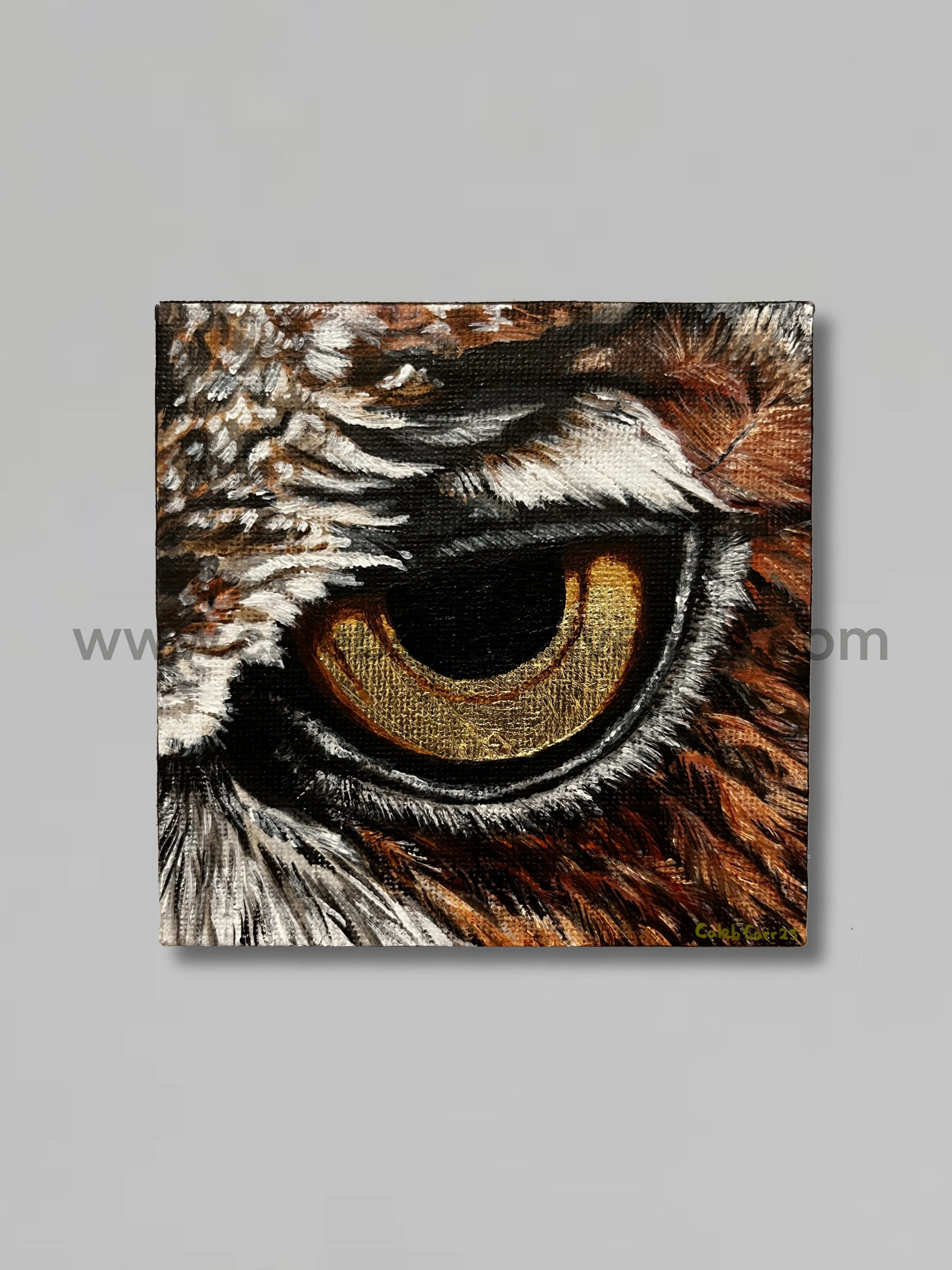 Eye2_websafe.jpg