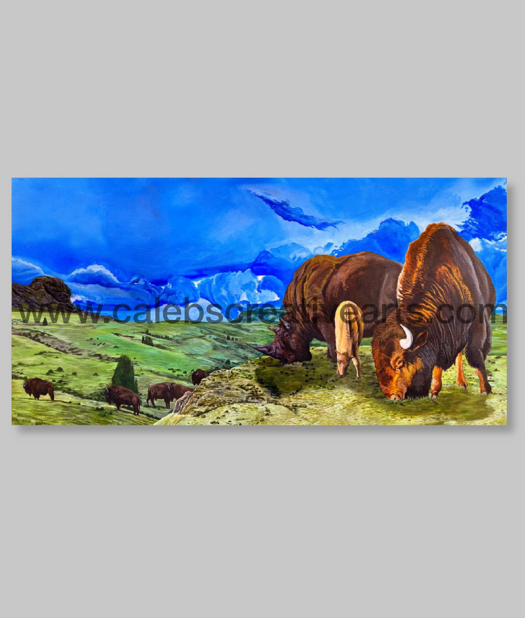 “Plentiful Pastures”