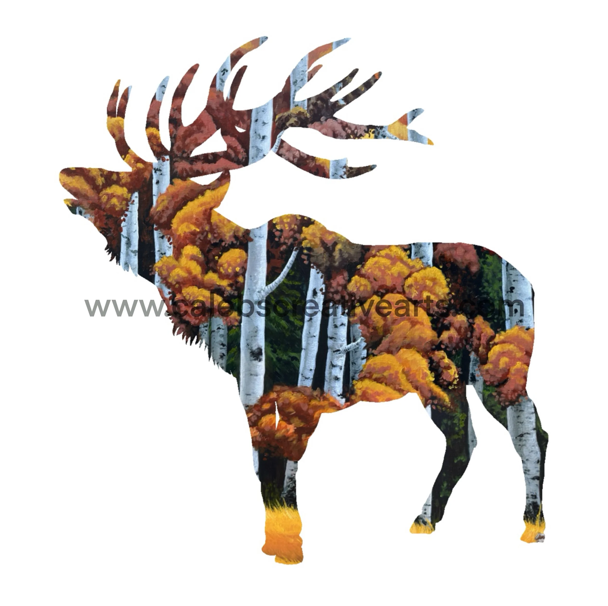 D_Elk2.jpg