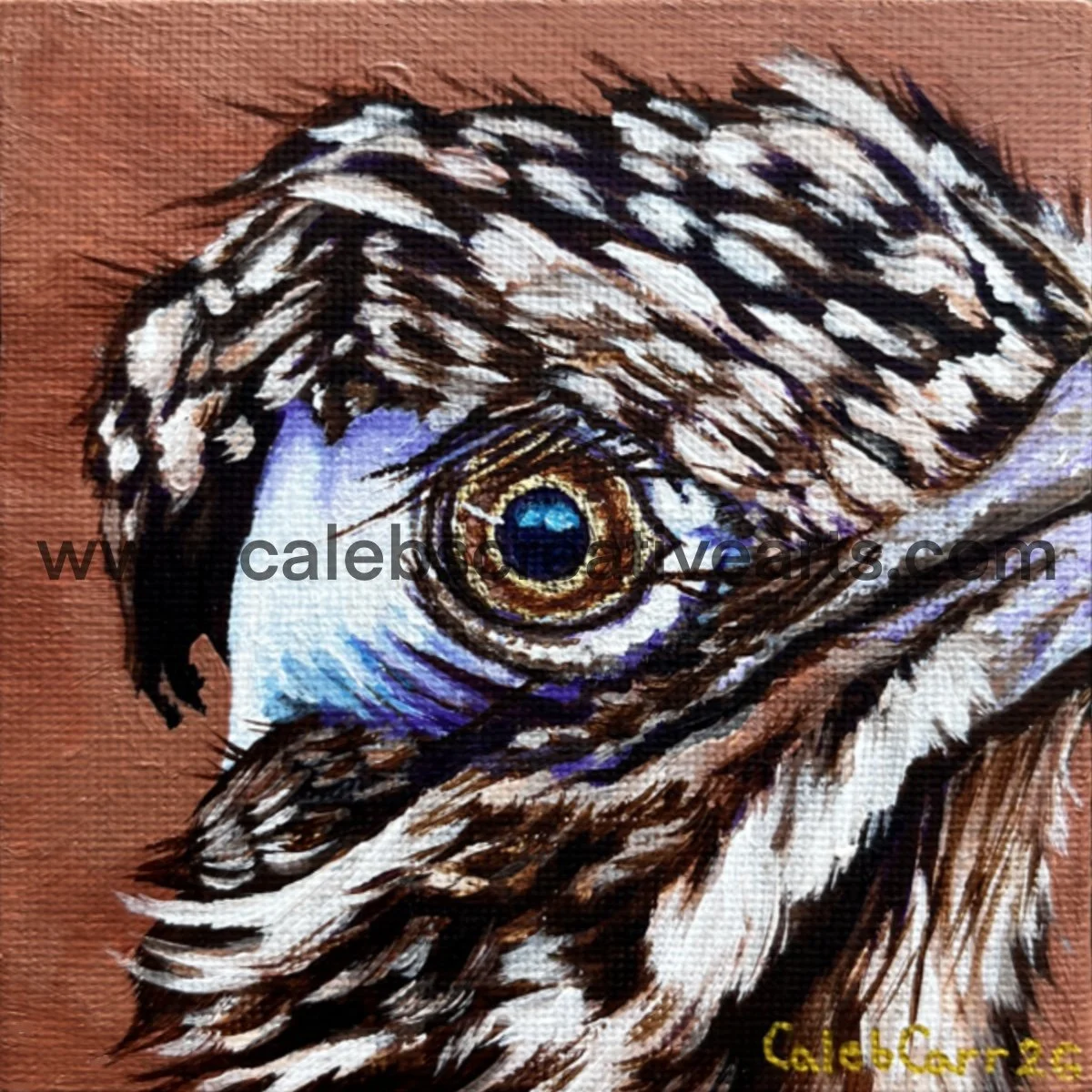 Eye43_websafe2.jpg