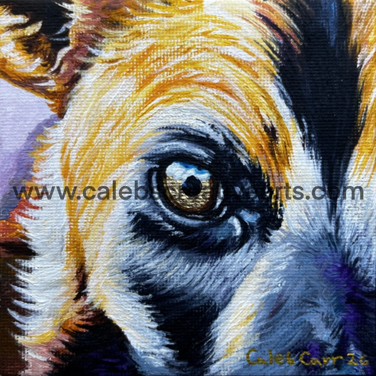 Eye46_websafe2.jpg