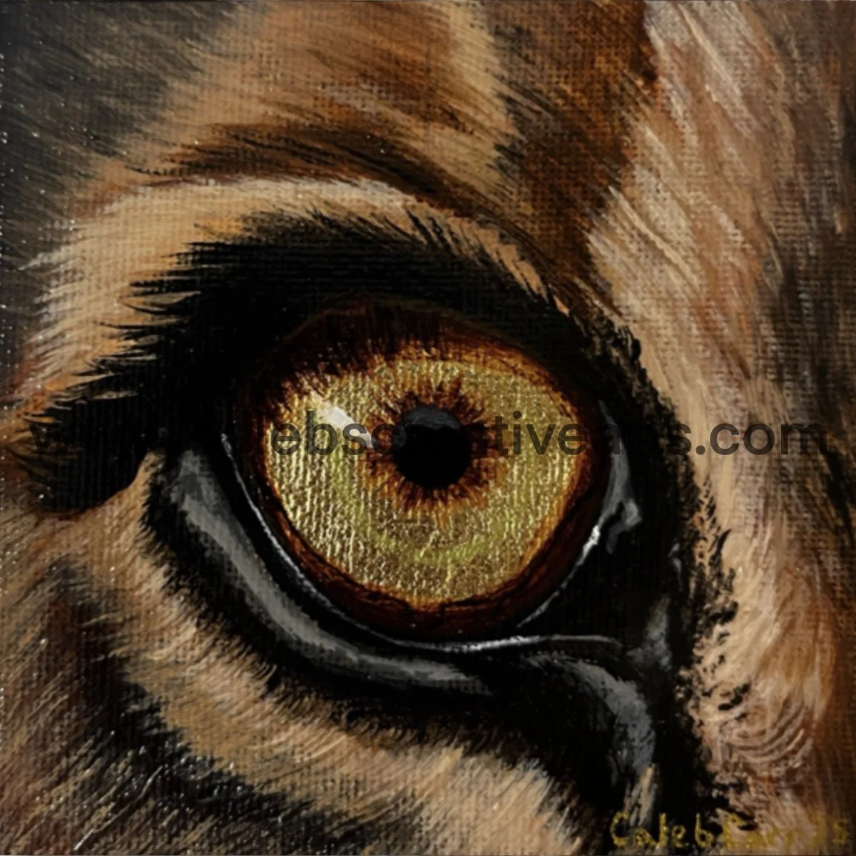 Eye1_websafe2.jpg