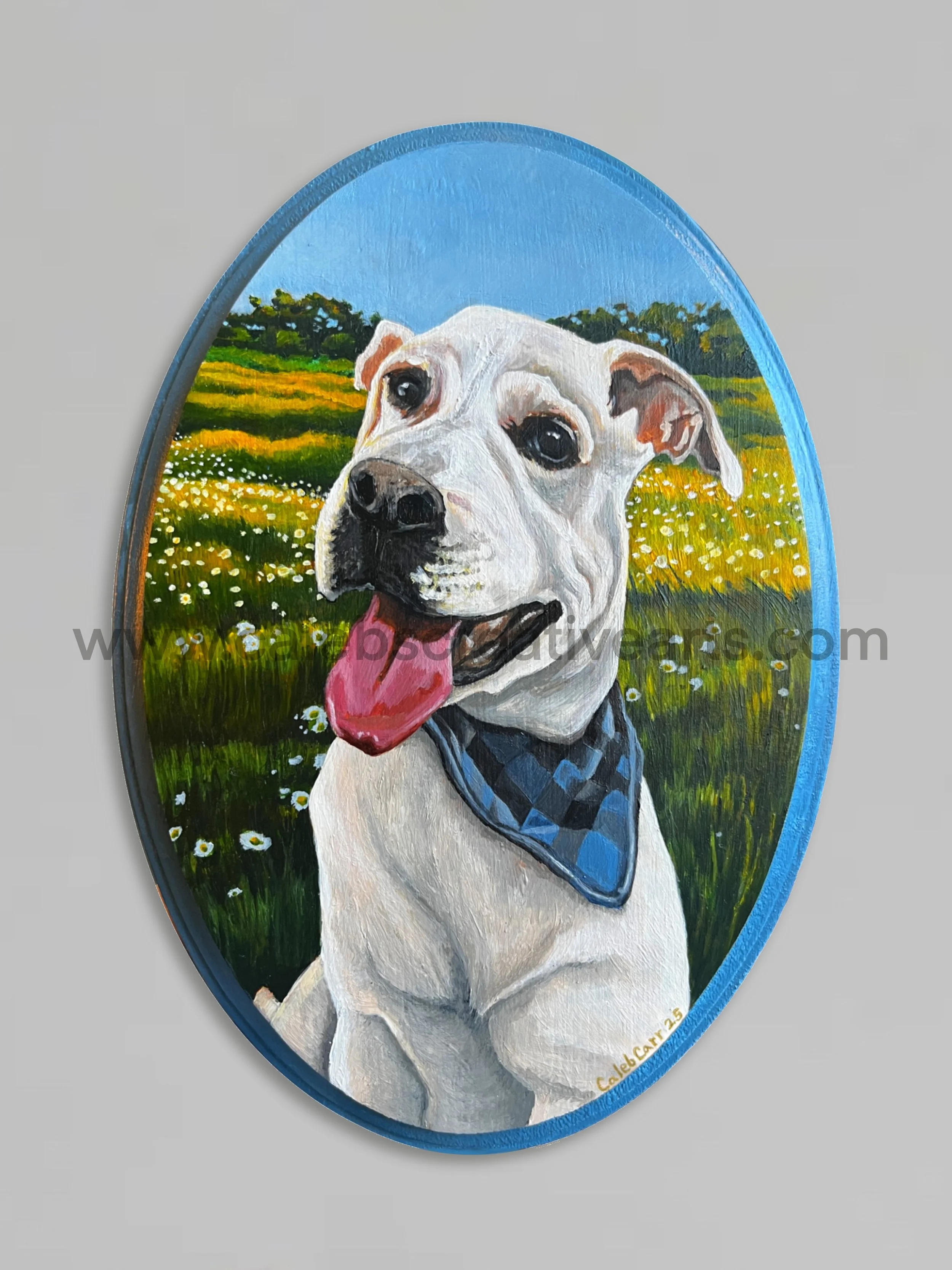 Country Lab_websafe.jpg