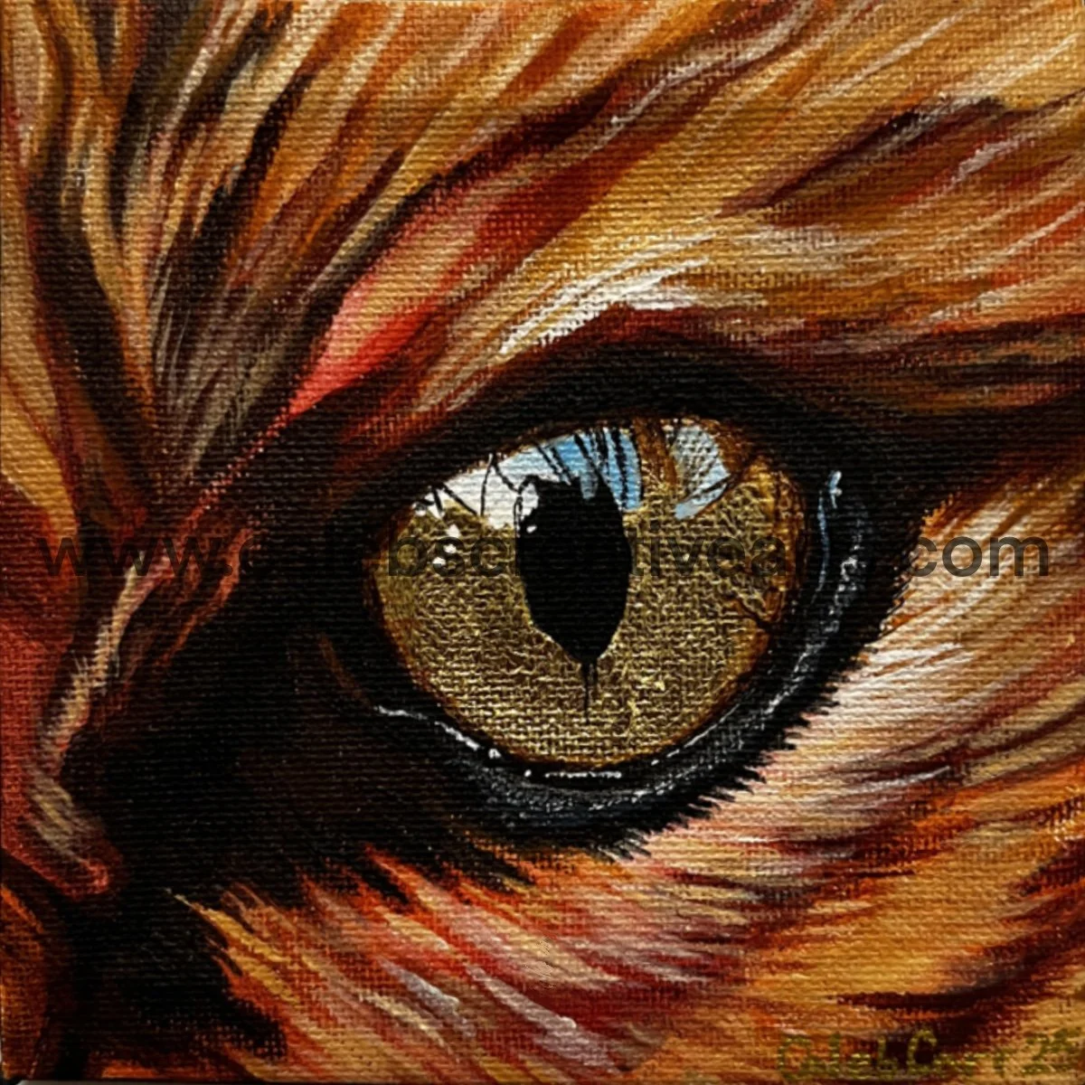Eye5_websafe2.jpg