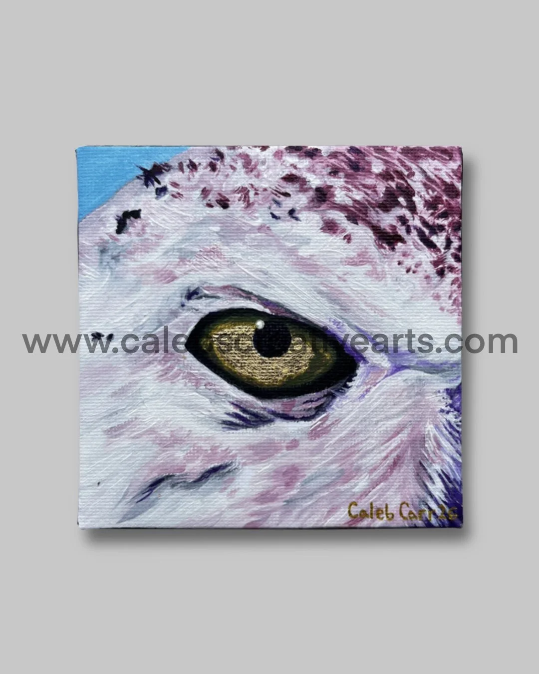 Eye42_websafe.jpg