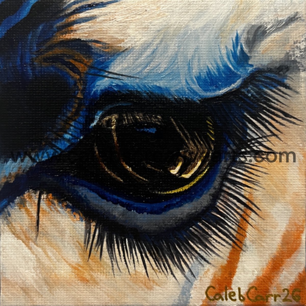 Eye33_websafe2.jpg