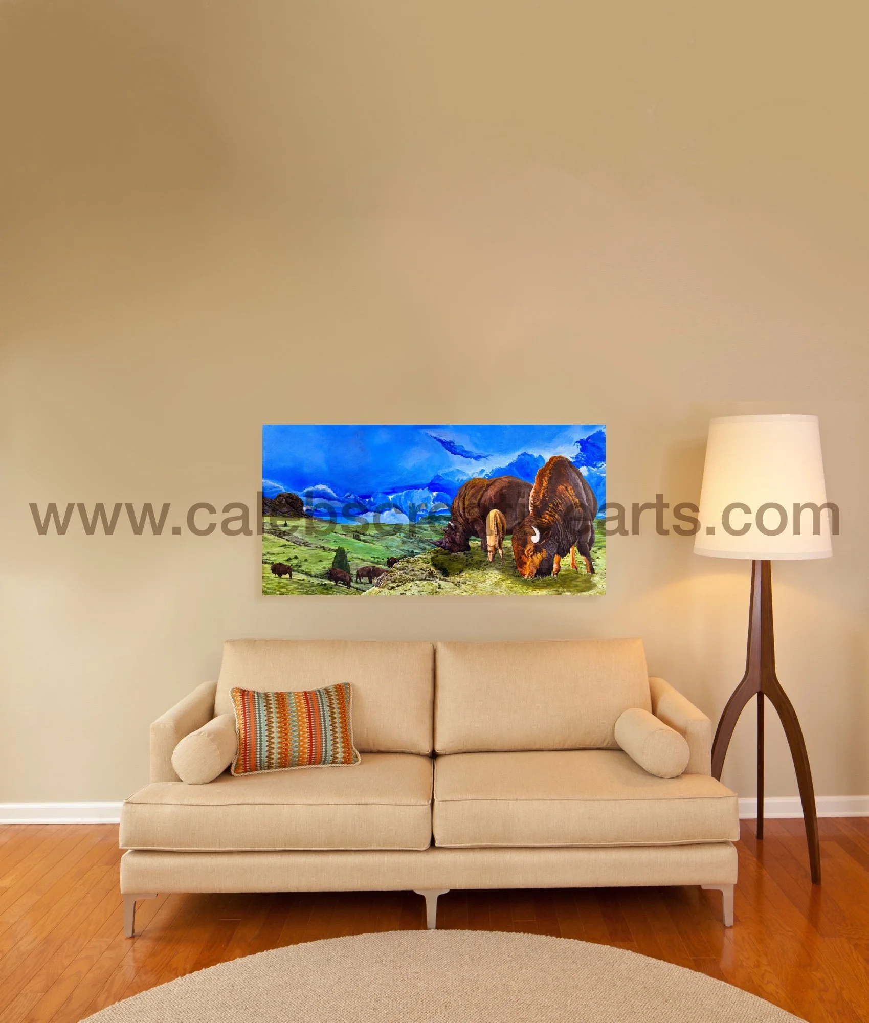 PP_display3.jpg