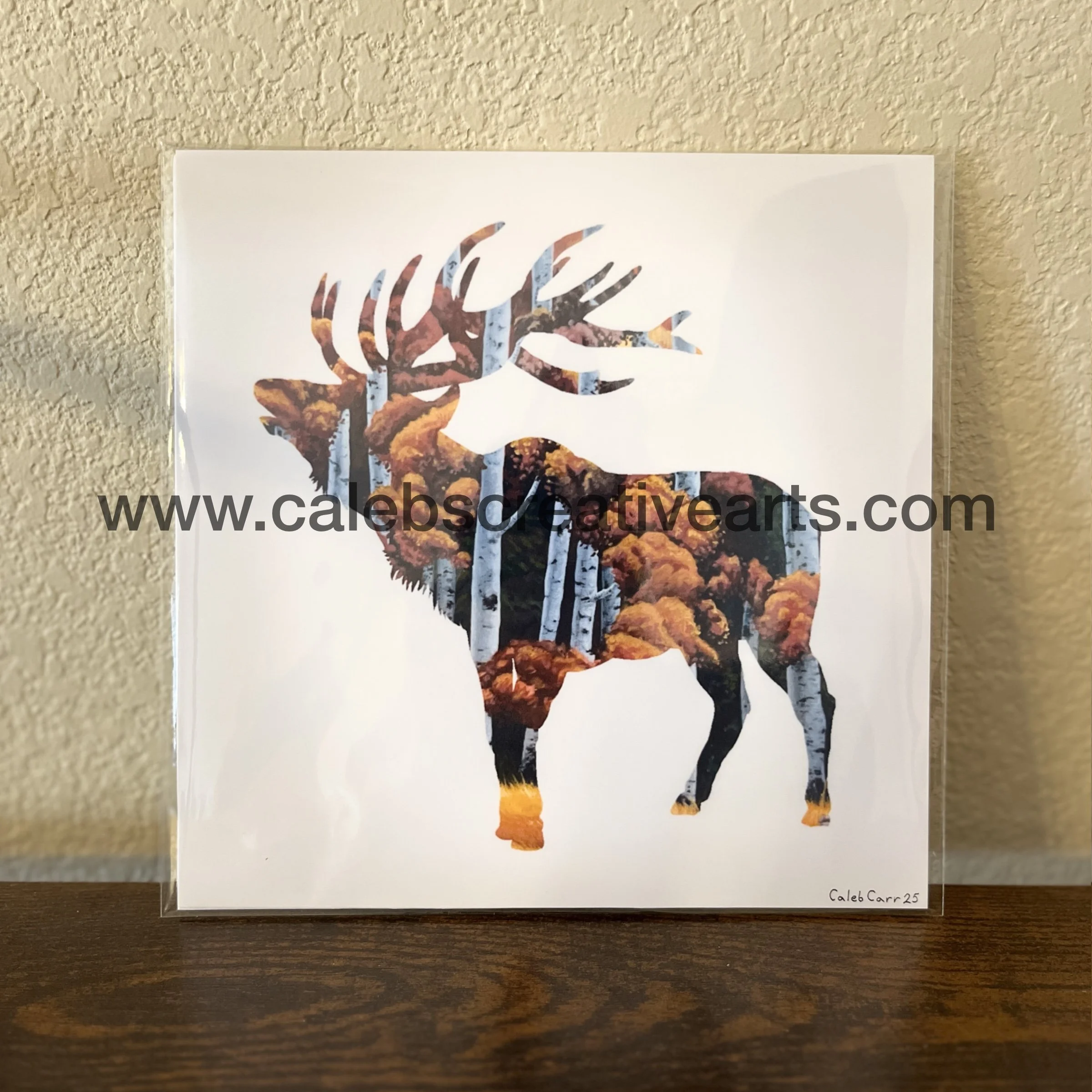 D_Elk_2.jpg