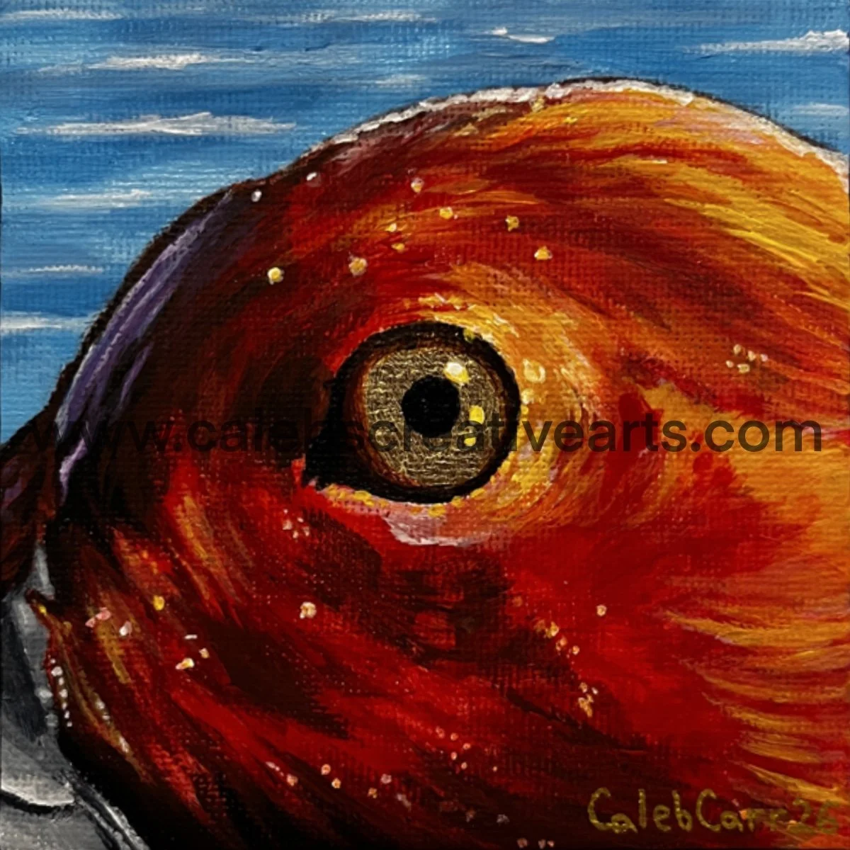Eye36_websafe2.jpg