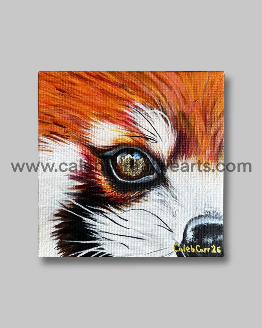 Gilded Eye 55