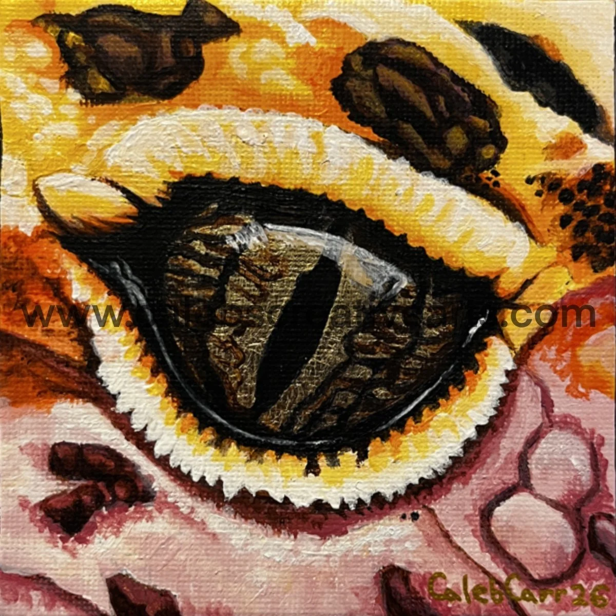 Eye35_websafe2.jpg