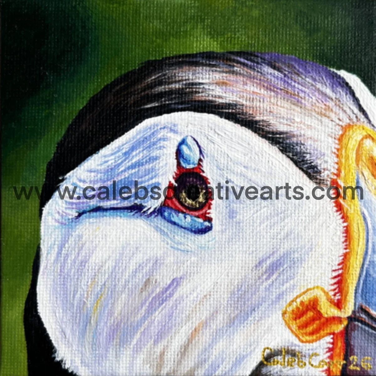 Eye48_websafe2.jpg