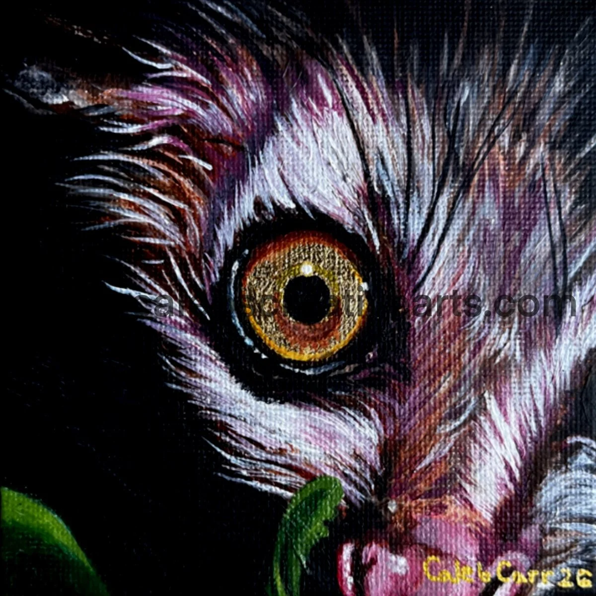Eye54_websafe2.jpg