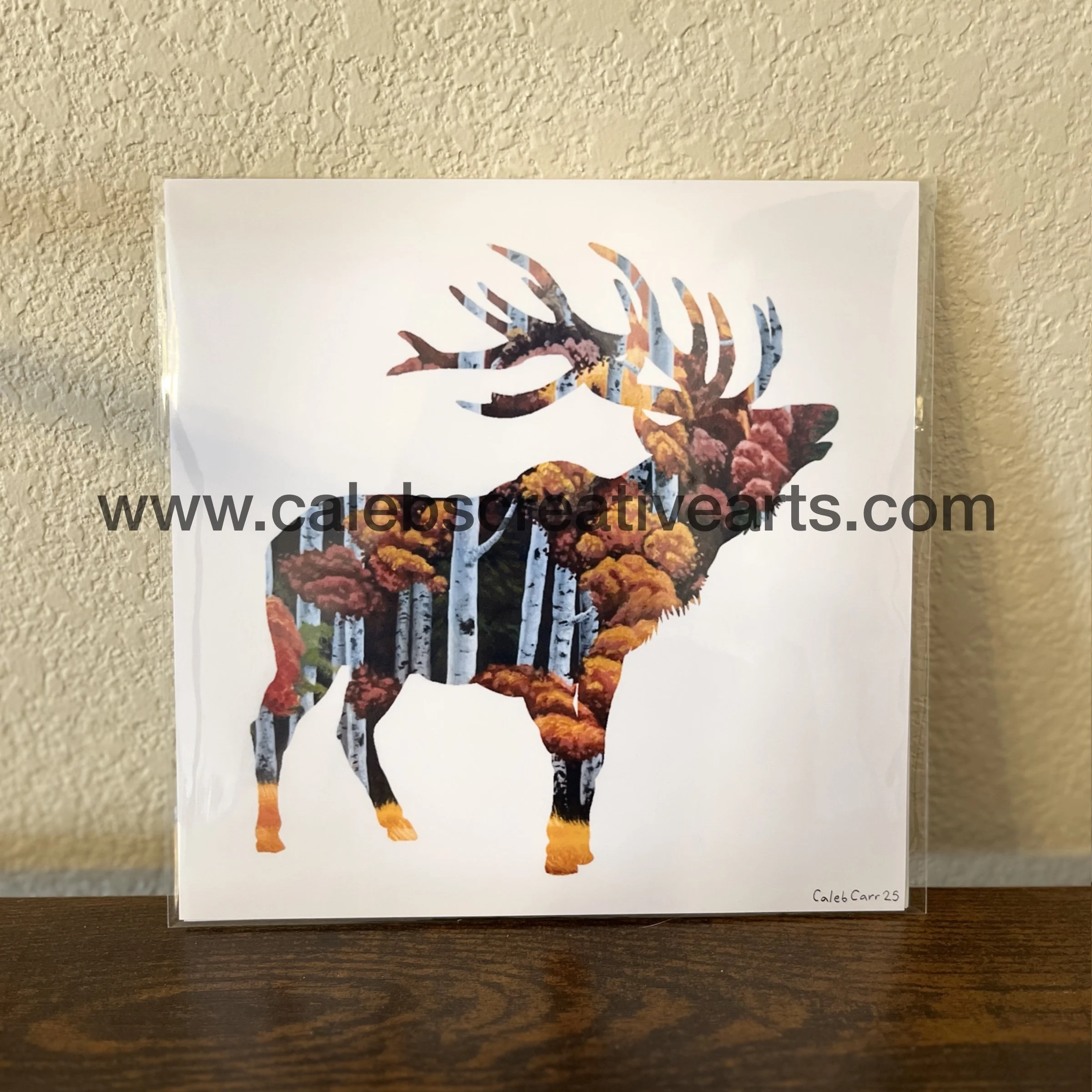 D_Elk_1.jpg