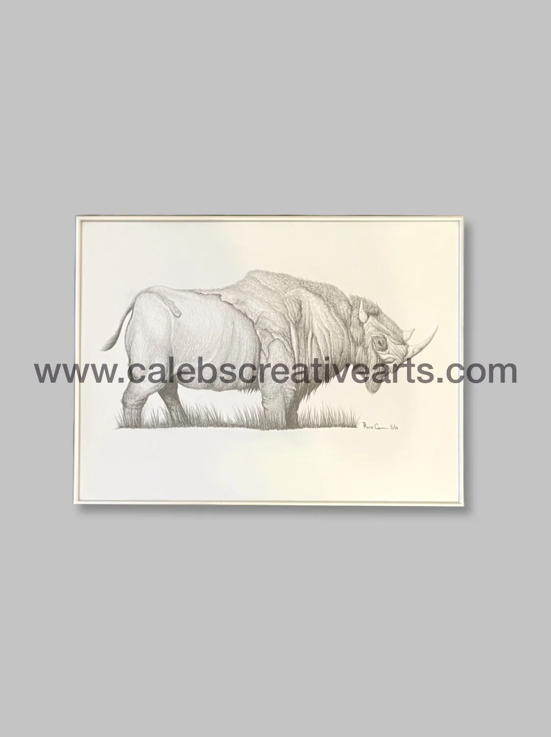 Framed “Rhinoffalo” Print
