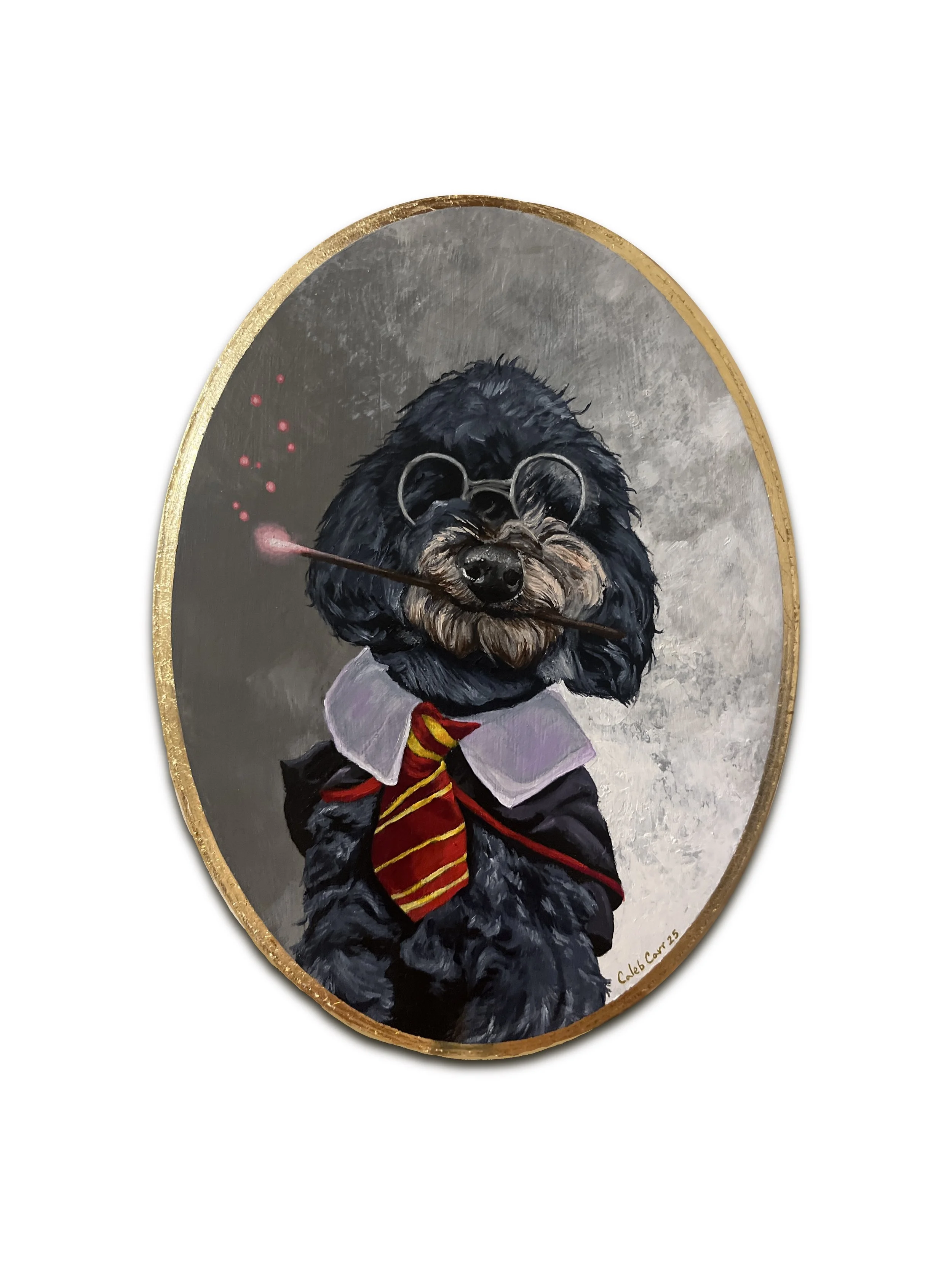 Hairy Wizard website pic.jpg