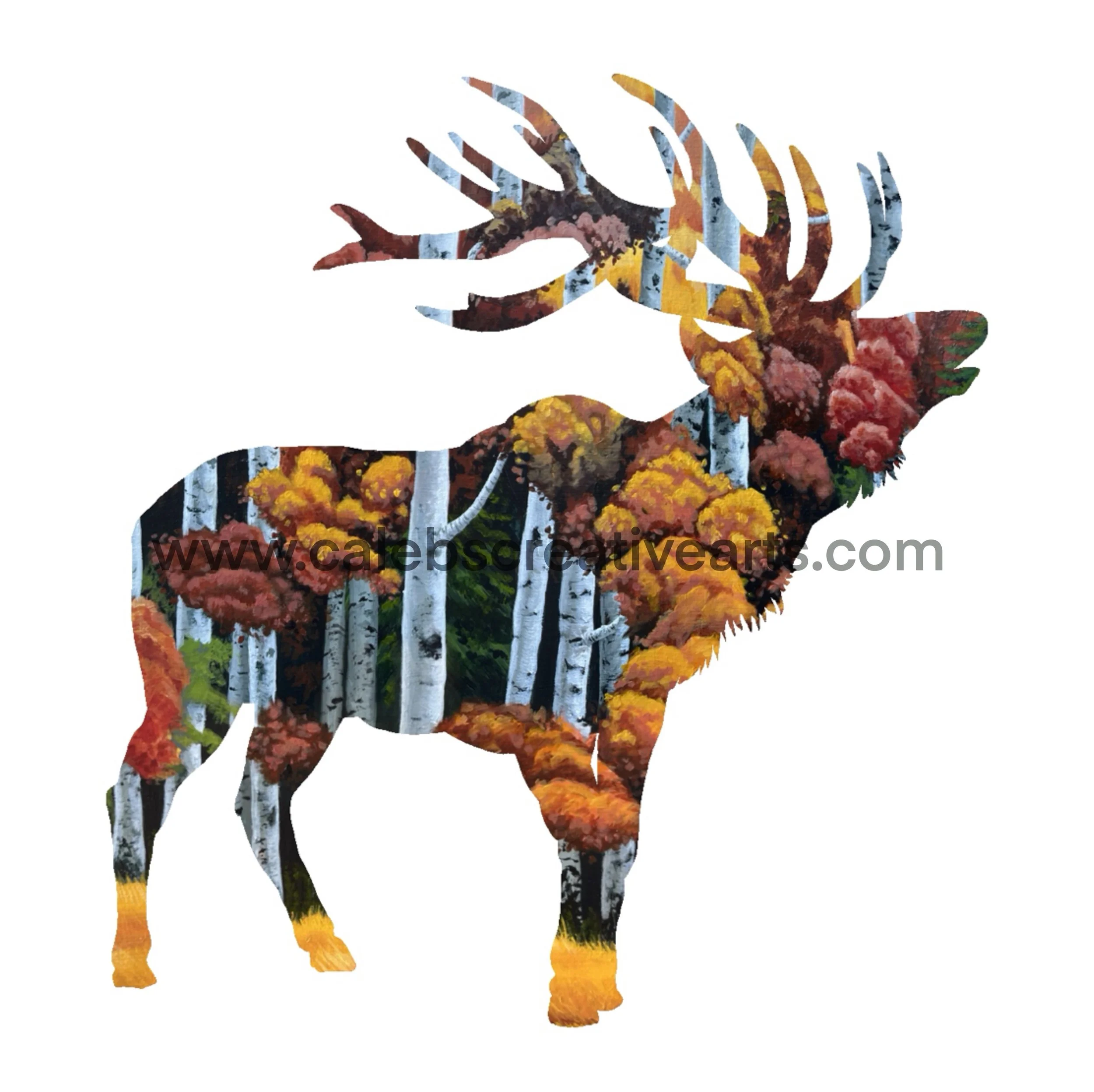 D_Elk1.jpg