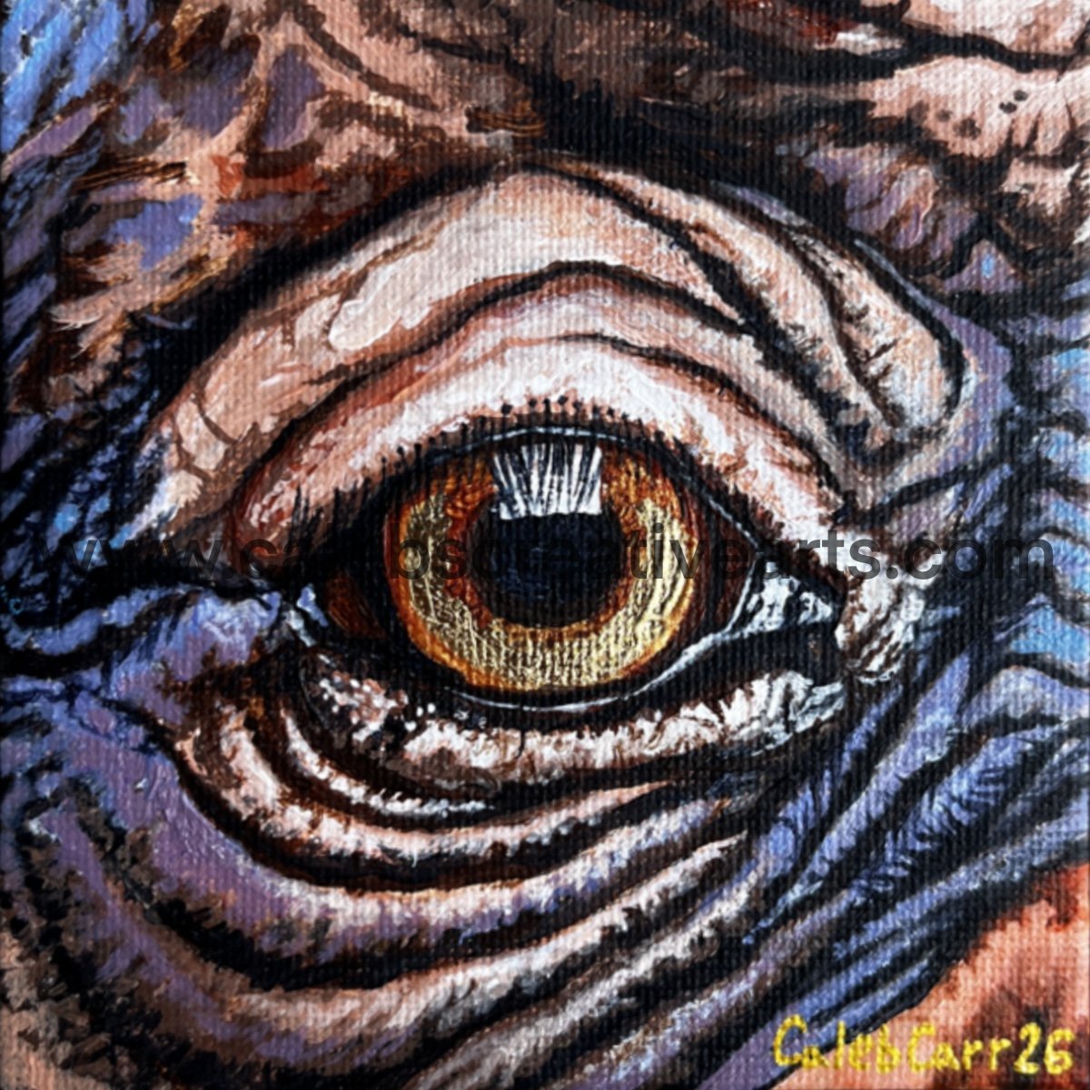 Eye50_websafe2.jpg